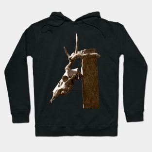 dead animal head bones Hoodie